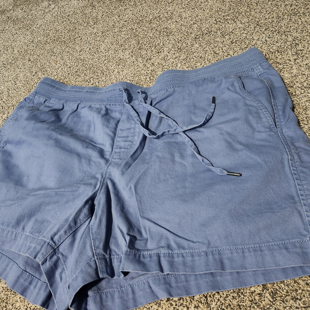 Orvis Light Blue Casual Shorts